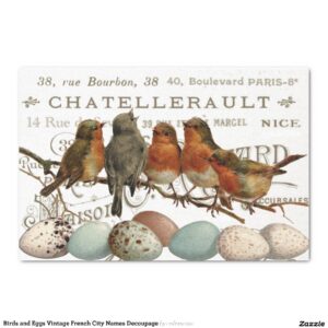Birds and Eggs Vintage French City Names Decoupage Tissue Paper