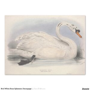 Bird White Swan Ephemera Decoupage Tissue Paper